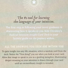 Load image into Gallery viewer, Illuminate Bundle